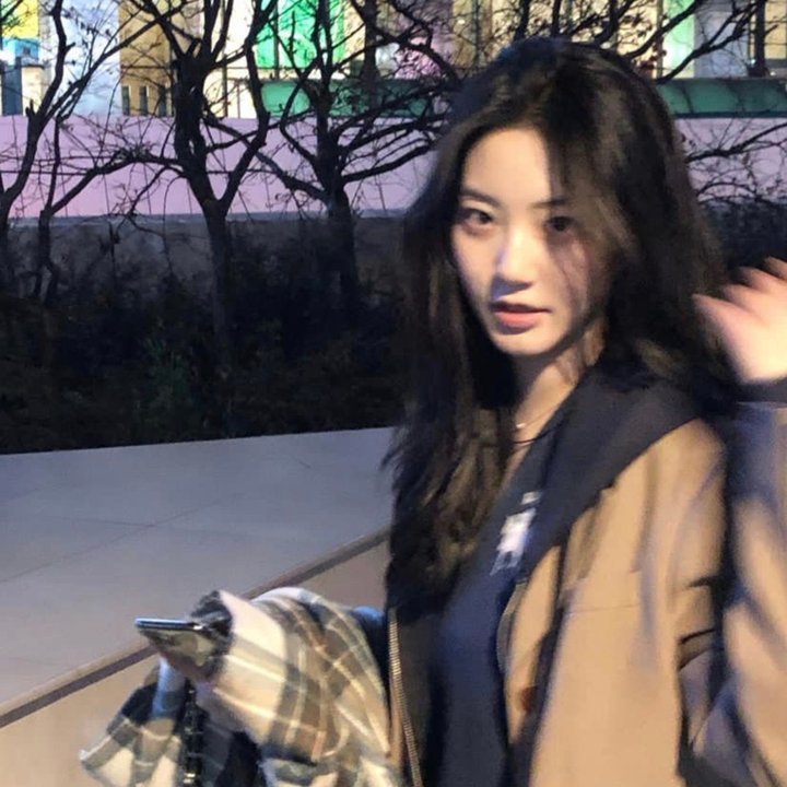 海鸥来过的房间